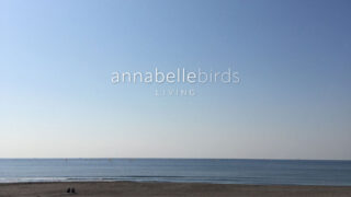 鎌倉・逗子・葉山などの湘南エリアと首都圏の物件探しならAnnabelleBirds Livingで。女性目線からお部屋探しをサポートいたします。